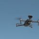 Bellende Drohnen in Neuseeland -